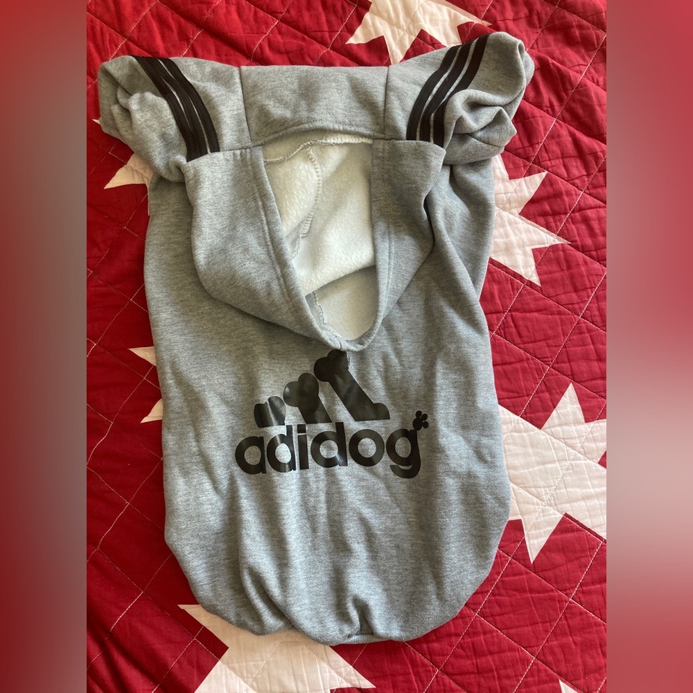 Dog hoodie
